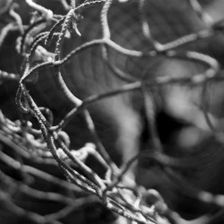 cropped-reteinverti1